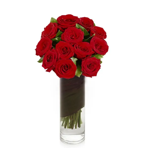 1 Dozen Red Roses in Vase