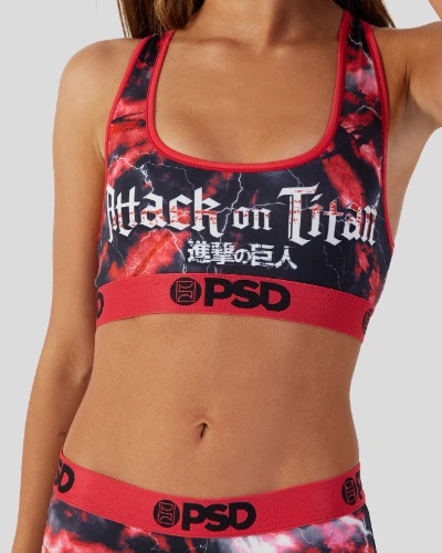 Attack On Titan | S / MULTI