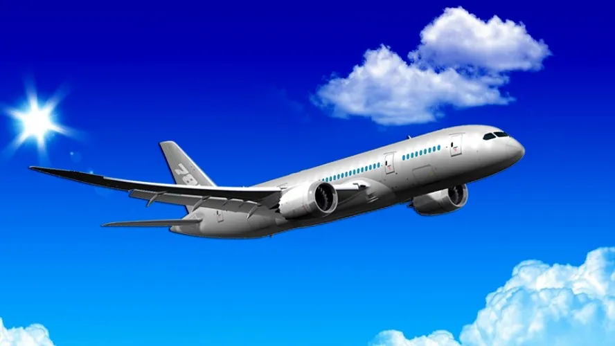 Domestic flight ticket