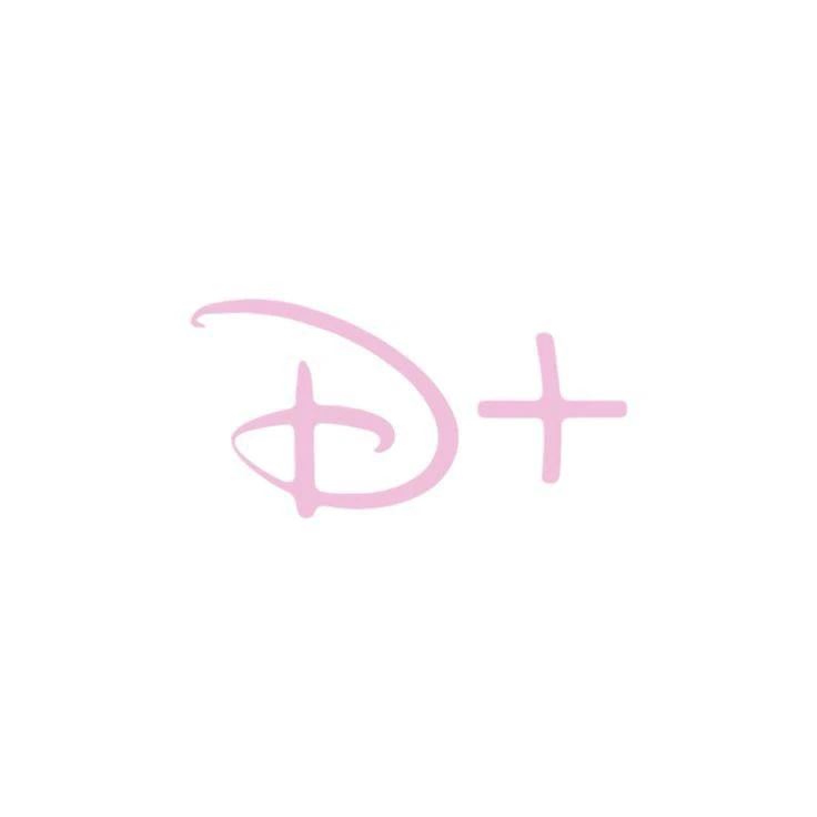  Disney+ Subscription