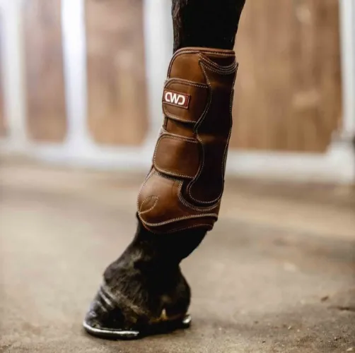 CWD Tendon and Back Boots