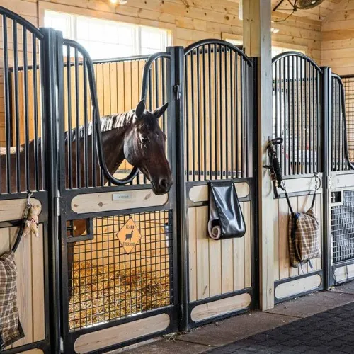 Cover one of my horses’ boarding for the month! 💕