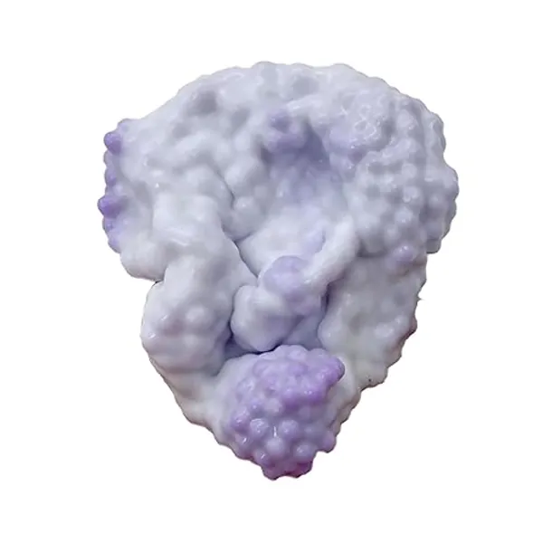 Grape Stressball, Vacuum Stress Ball, Small Bead Squeeze Ball Toy, Noisy Silicone Grape Stressball, Colorful Beads Shapeable Vacuum Ball Stress Ball Squishy Toy for Kids, Adults - A