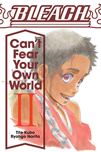 Bleach: Can't Fear Your Own World, Vol. 2 (Volume 2)