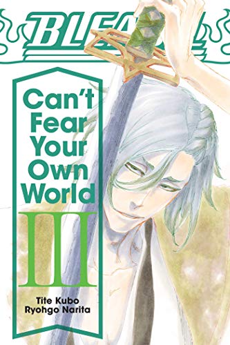 Bleach: Can't Fear Your Own World, Vol. 3 (Volume 3)