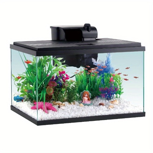 5 Gallon Glass Aquarium Starter Kits