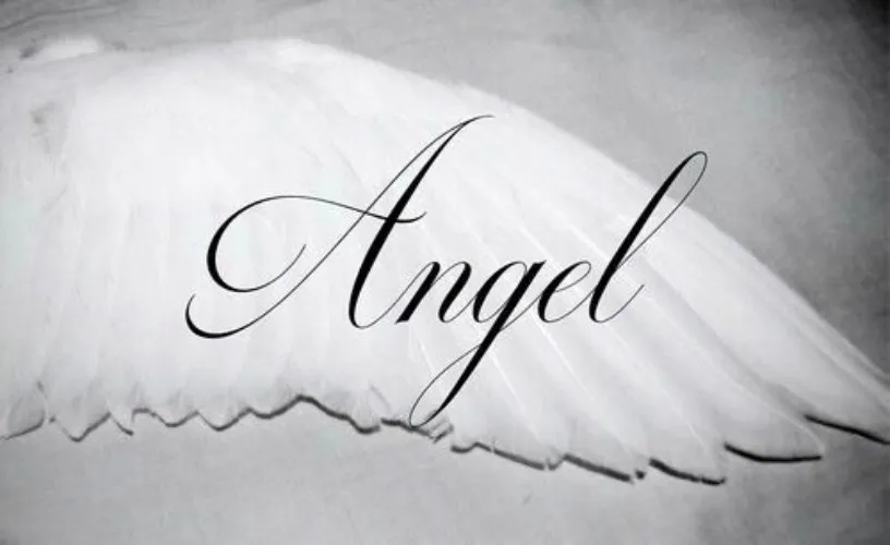 Angelnumber 