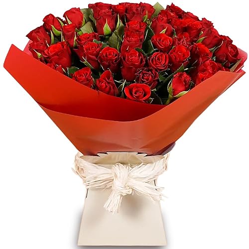 50 Red Roses Fresh Flower Bouquet - Romantic Gift of 50 Red Roses - Large Bouquet Perfect for Valentine’s, Birthdays, Mother’s Day, and Anniversaries