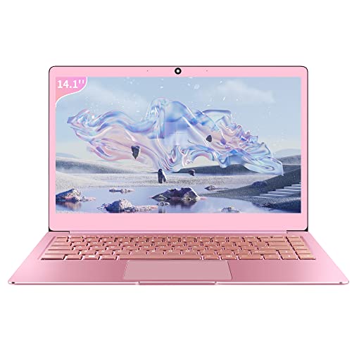 【 8GB/MS Office 2019】 14.1 inches FHD IPS Thin Laptop High Speed CPU celeron J4125 8GB RAM /128 GB SSD ROM high Performance Notebook Computer with Mouse(64G+64G SSD, Rose Gold) - SSD:256GB