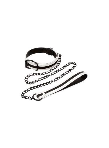 Glow-In-The-Dark Collar & Leash Set