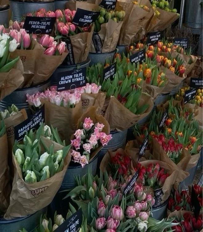 I deserve a weekly flowers 💐 