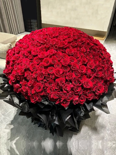 Roses🌹 