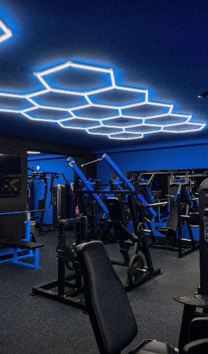 monthly subscriptions 