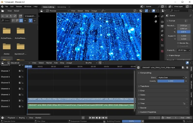 Editing Software Subscription