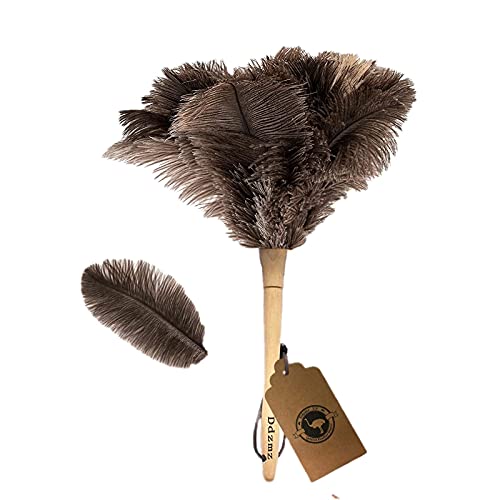 Feather Duster Prop