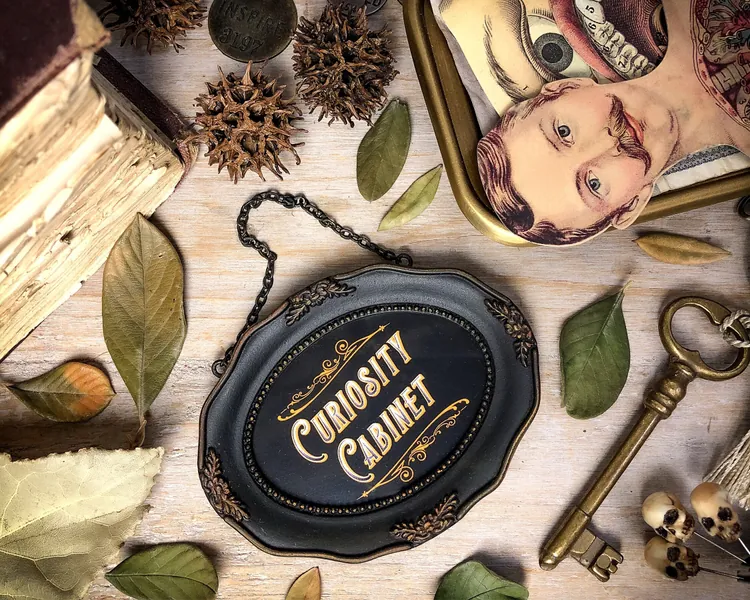 Curiosity Cabinet Hanging Chain Sign - Vintage Cabinet Small Framed Print - Oddities Curiosities Wall Sign Gift for Her