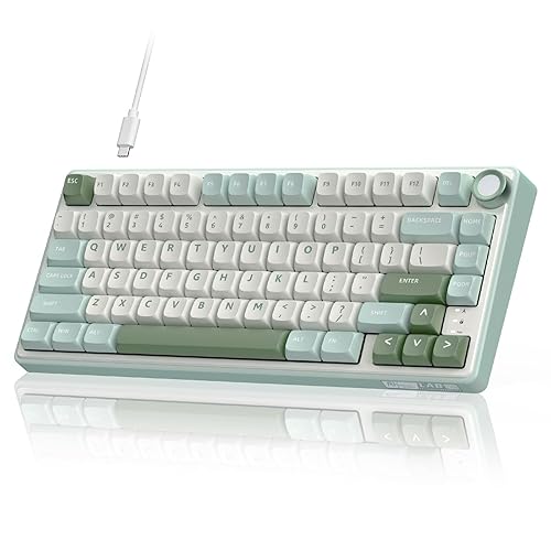 RK ROYAL KLUDGE R75 Mechanical Keyboard Wired with Volume Knob, 75% Custom Gaming Keyboard Gasket Mount RGB Backlit with Software, MDA Profile, PBT Keycaps, Hot Swappable Linear Switch Creamy Sound - Premium - Silver Switch Pro - green