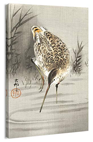 "A Snipe Hunting for Fish in The Water" canvas print