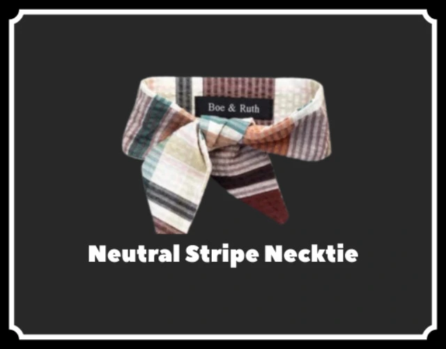 Neutral Stripe Necktie