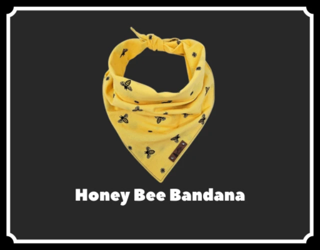 Honey Bee Bandana