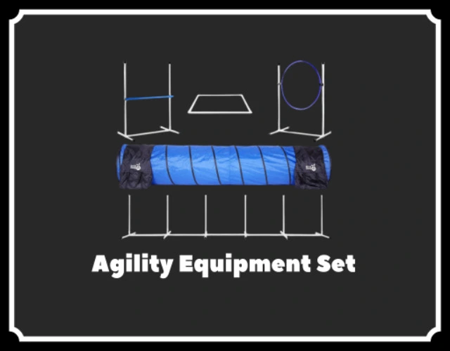 Agility Equipment Set