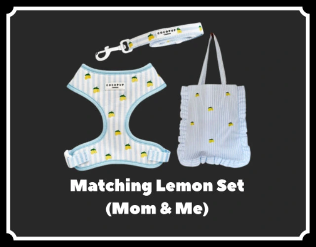 Matching Lemon Set (Mom & Me)