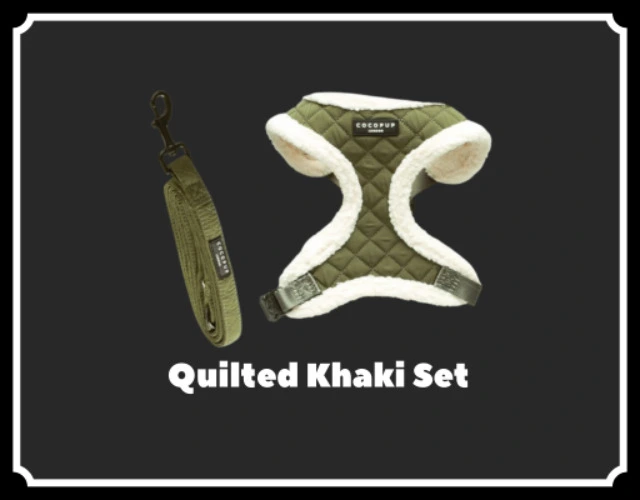 Quilted Khaki Harness & Lead Set