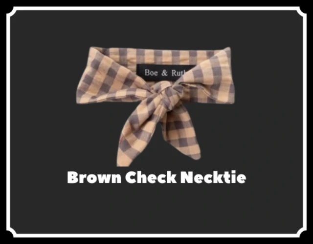 Brown Check Necktie
