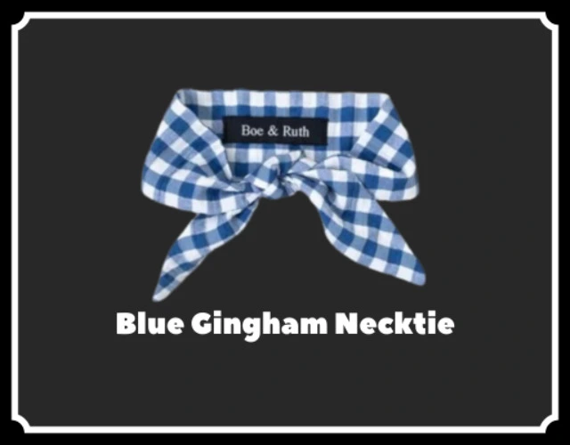 Blue Gingham Necktie