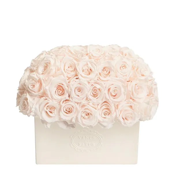 Serene Porcelain Vase Eternity Roses | Blush