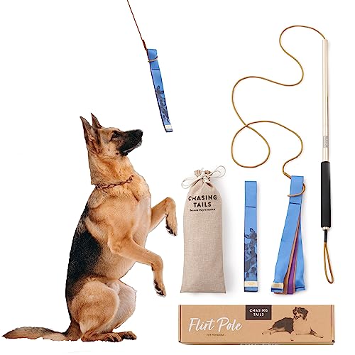 Chasing Tails Flirt Pole For Dogs - Dog Flirt Pole, Dog Enrichment Toys, Interactive Dog Toys, Dog Exercise Equipment, Dog Rope Toy Pet Toys, Jouet Interactif Pour Chien, Dog Training Toys Dog Tug Toy