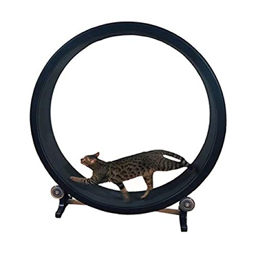 Cat Exercise Wheel Cat Climbing Frame Cat Toy Cat Litter Cat Furniture Roller Cat Treadmill Cat Running Wheel Diameter 1.2 Meters - Black
