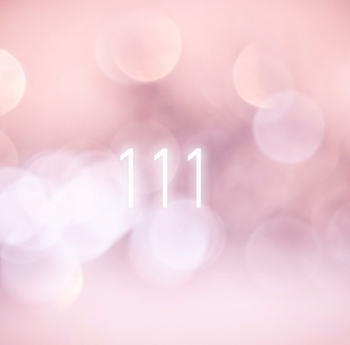 111