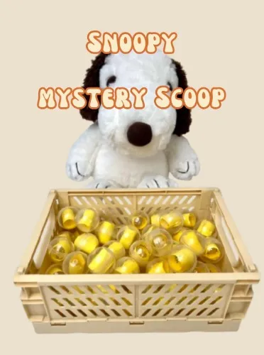 Snoopy Mystery 10 Scoops