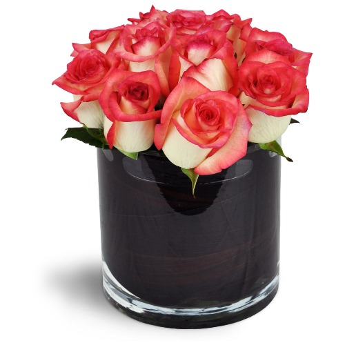 Modern Love Story™ - Deluxe