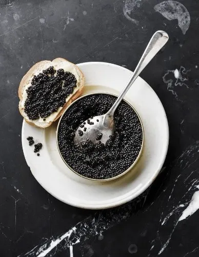 Caviar Addiction