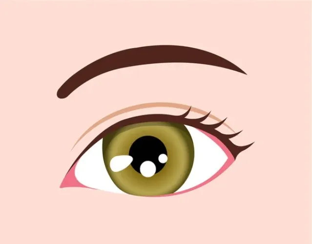 Brow Wax