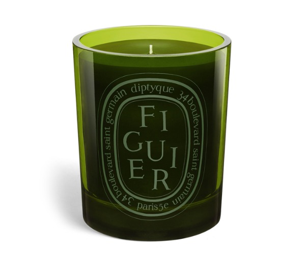 Figuier (Fig Tree) - Medium candle