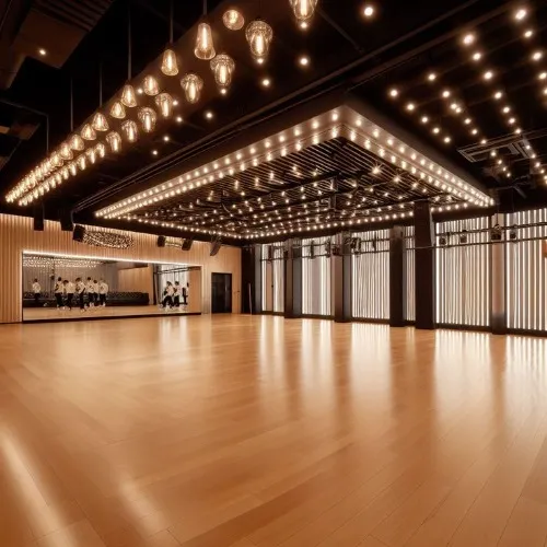 Dance and twerk classes