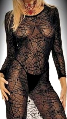 Ashby black stretch widow spiderweb sheer lace long dress