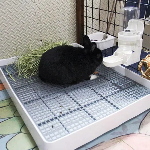 Litter tray for my bunnies