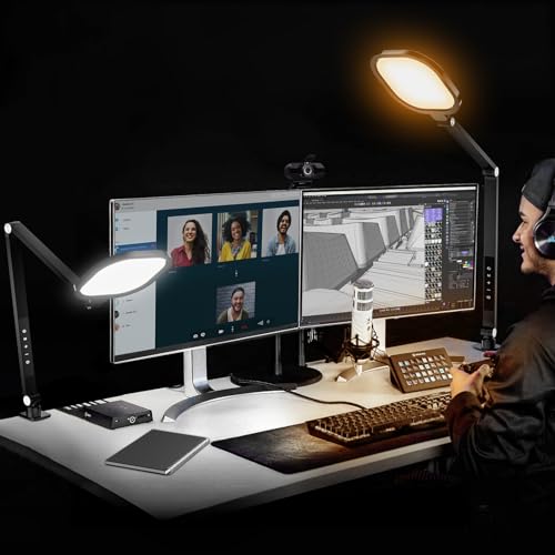 LitONES 2 Packs Desk Light - Desktop Light with Clamp for Video Conference Lighting，Computer Webcam Lighting for Zoom Meeting Video Calls Task Drafting, Swing Arm Desk Lamps for Home Office - Black - 2 Packs