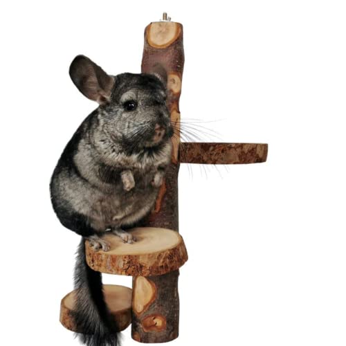 Chinchilla Large Hanging Wooden Rotating Platform - Small Animals Natural Fruit Wood Standing Platform - Squirrel Suger Glider Platform - Bird Perch Platform
