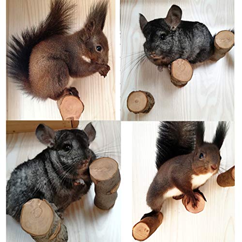 QBLEEV 3 PCS Hamster Chew Toys for Teeth, Chinchilla Cage Accessories Supplies, Guinea Pigs Natural Wood Chews Sticks for Rat Squirrels, Rabbits Perch Toys Birds Standing Platform for Parrot Bunny
