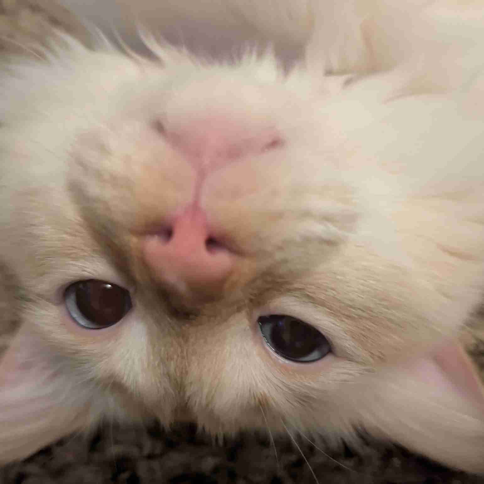 Show Your Appreciation 