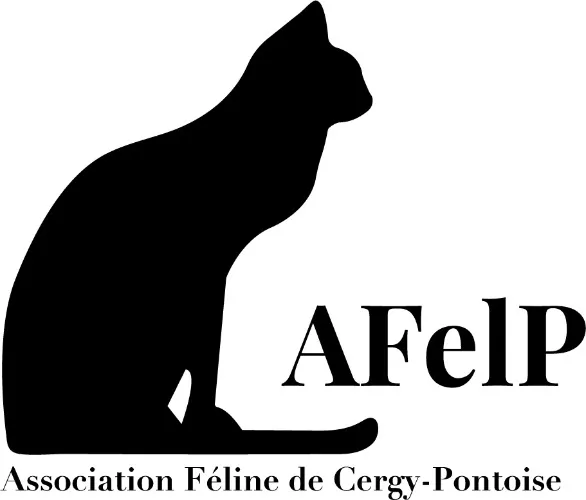 Protégeons les chats errants et donnons leur le statut de "chats libres" ! - AFELP (Association Féline de Cergy-Pontoise)