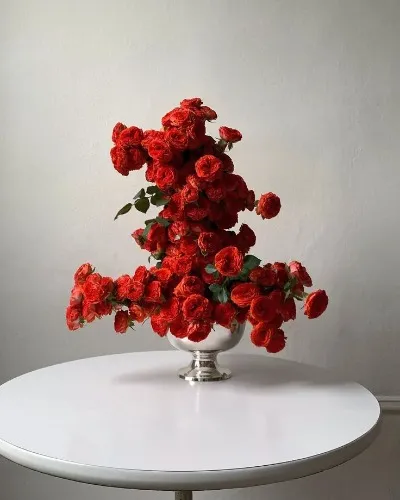 Trip to the flower market