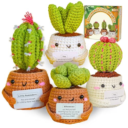 Imcrasy Crochet Kit | Crochet Kit for Beginners | Emotional Support Succulent Crochet & Knitting Kit with Step by Step Video Lessons | 4 PC Succulent Crochet Kit with Crochet Accessories(40%+ Yarn)