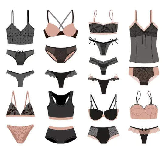 fund my lingerie collection👙