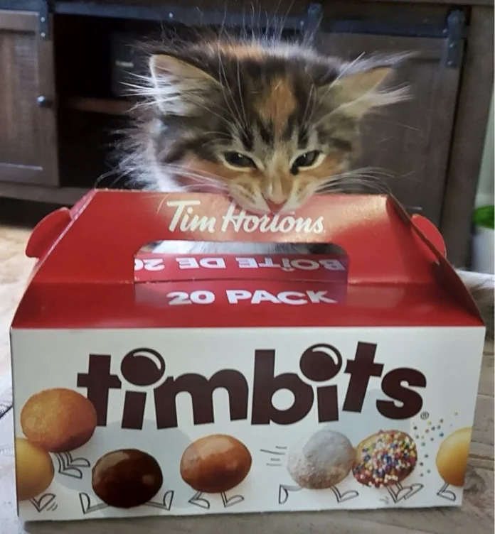 (10) buy me a coffee :3